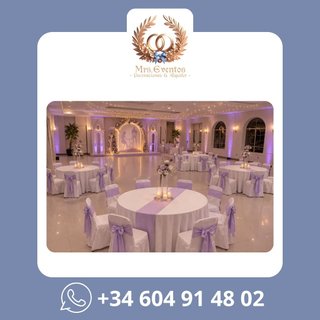 Alquiler Sillón Trono Quinceañera Rapunzel