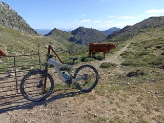 Bicicleta eléctrica BH XTEP