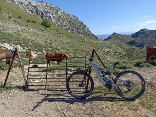 Bicicleta eléctrica BH XTEP