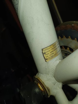 Bicicleta Orbea Blanca