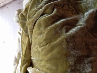 Taglio velluto seta verde