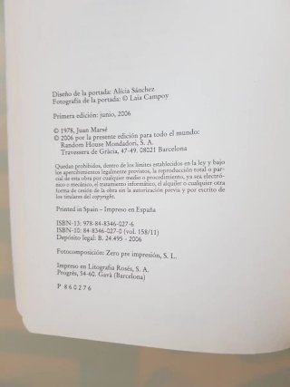 Libro La muchacha de las bragas de oro