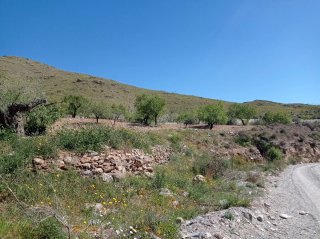 Finca en Lubrín