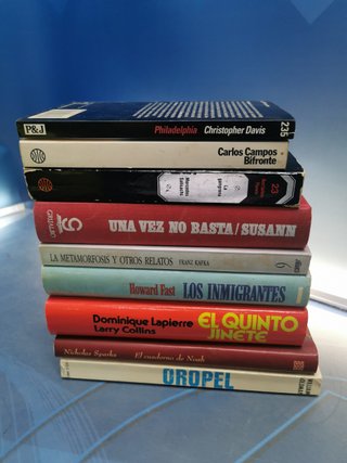 Lote 9 libros, clásicos y best sellers