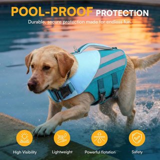 QUEENMORE Chaleco Salvavidas Perro XL Teal