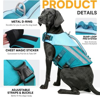 QUEENMORE Chaleco Salvavidas Perro XL Teal