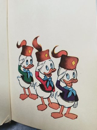 libro, Manual del Joven Excursionista Disney. Buru Lan, 1973.