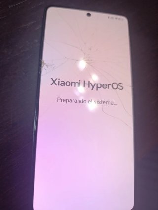 Xiaomi Redmi Note 13 Pro 256GB Negro/Gris