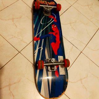 Skate Spiderman Animated Series