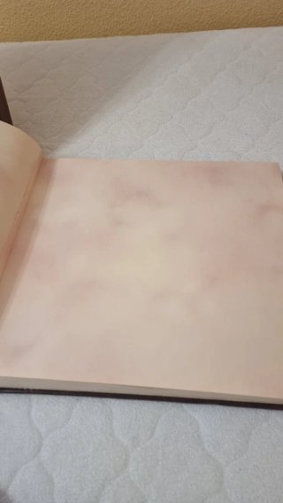 Álbum de fotos piel con maleta