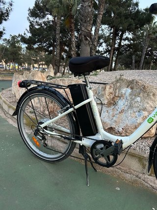 Bicicleta Eléctrica Wayscral