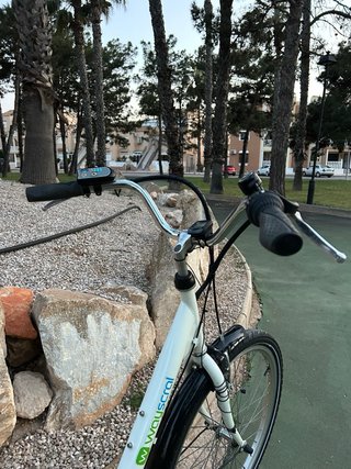 Bicicleta Eléctrica Wayscral