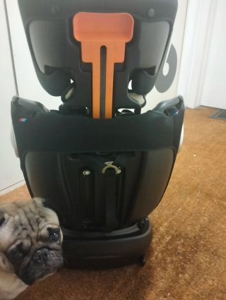 Silla de coche infantil negra