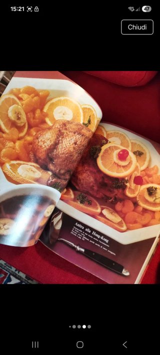 Enciclopedia di cucina 24 volumi curcio