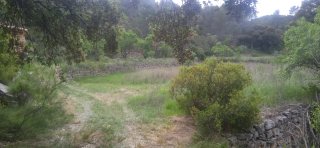Terreno rústico en venta