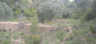 Terreno rústico en venta