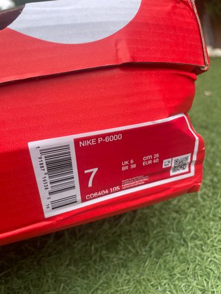 Nike P-6000
