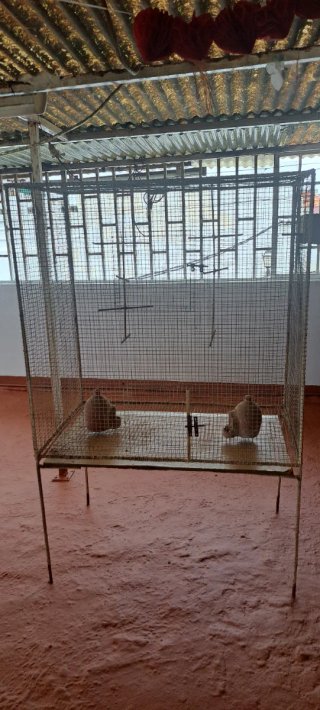Gabbia grande per uccelli