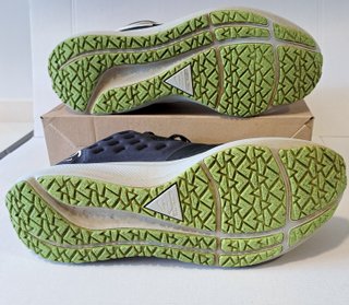 NIKE AIR ZOOM PEGASUS 39 SHIELD Zapatillas running