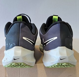 NIKE AIR ZOOM PEGASUS 39 SHIELD Zapatillas running