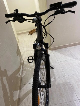 Bicicleta Eléctrica Riverside 520E