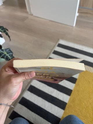 El viajero perdido
