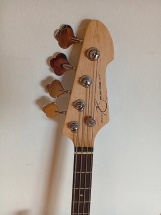 Bajo eléctrico, amplificador y funda
