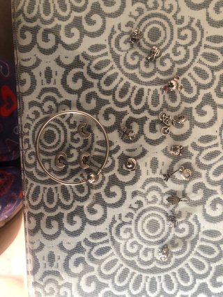 Pulsera Pandora Plata con 10 Charms
