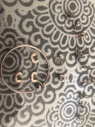 Pulsera Pandora Plata con 10 Charms