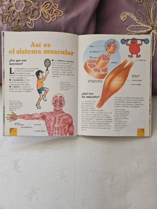 Enciclopedia erase una vez el cuerpo humano.