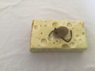 Tapa de plato de cerámica con ratón