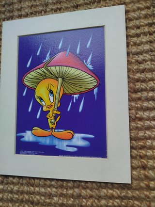 Cuadro artesanal Looney Tunes Piolín