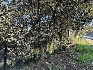 Terreno en venta en Urbanitzacions en Lloret de Mar