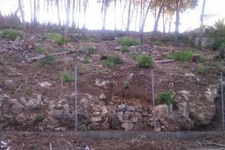 Solar en venta en Vallirana