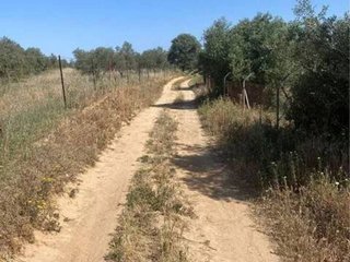 Terreno en venta en Almonte en Almonte