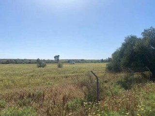 Terreno en venta en Almonte en Almonte