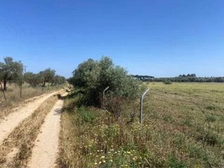Terreno en venta en Almonte en Almonte