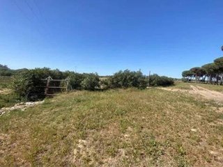 Terreno en venta en Almonte en Almonte