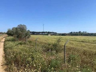 Terreno en venta en Almonte en Almonte