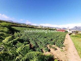 Terreno en venta en Orotava (La)