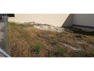 Terreno en venta en Olleria (l´)