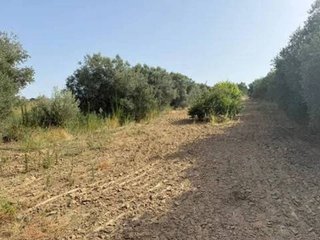 Terreno en venta en Rociana del Condado