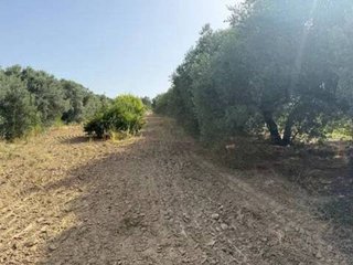 Terreno en venta en Rociana del Condado