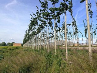 Terreno en venta en Fuente Vaqueros