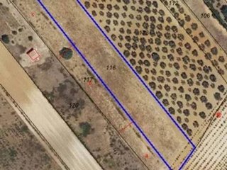 Terreno en venta en Rociana del Condado