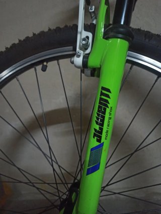 Bicicleta JL Wenti