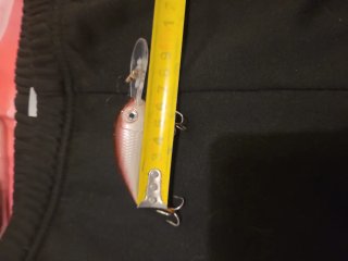 Señuelos de pesca