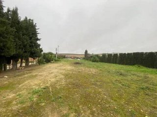 Terreno en venta en Rociana del Condado