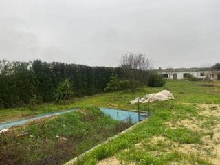 Terreno en venta en Rociana del Condado