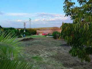 Terreno en venta en Rociana del Condado